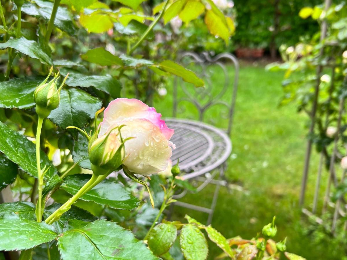 La Finestra Sul Giardino - B&B Cavedine Экстерьер фото